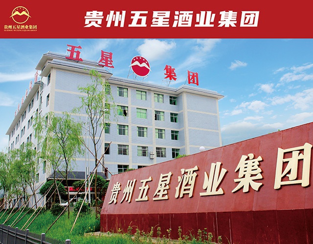 集团简介