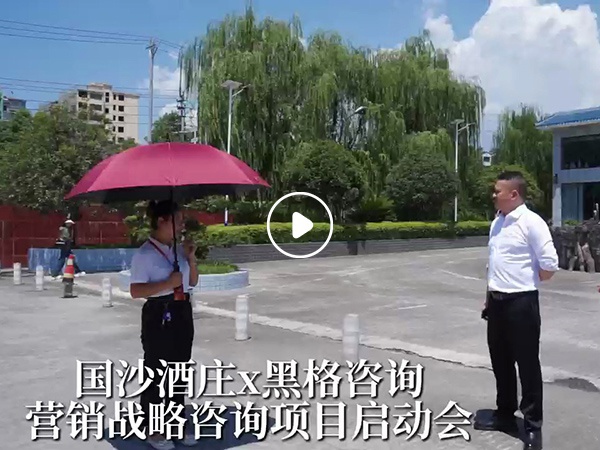 国沙酒庄X黑格咨询 营销战略咨询项目启动会